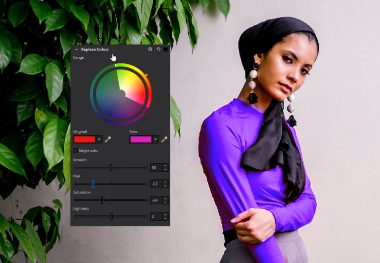 CorelDRAW Graphics Suite 2020 (Annual Subscription)